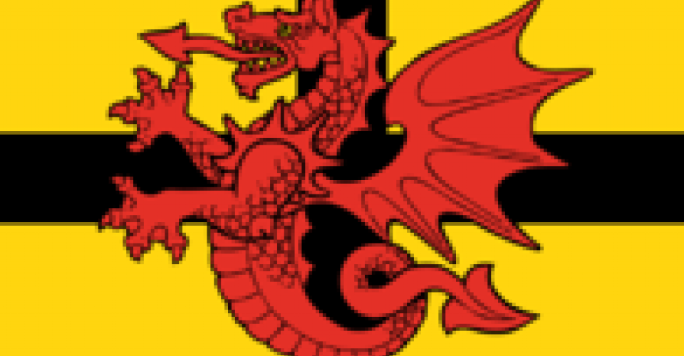 DRAPEAU DU TREGOR